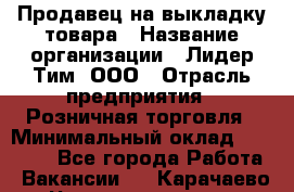 Продавец на выкладку товара › Название организации ­ Лидер Тим, ООО › Отрасль предприятия ­ Розничная торговля › Минимальный оклад ­ 17 600 - Все города Работа » Вакансии   . Карачаево-Черкесская респ.
